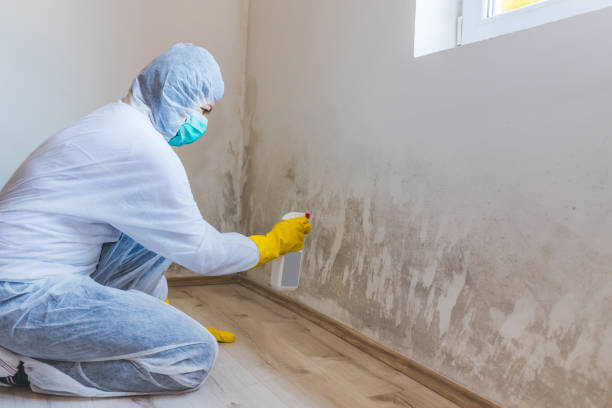 Commercial Mold Remediation assessment for commercial property in Hightstown
